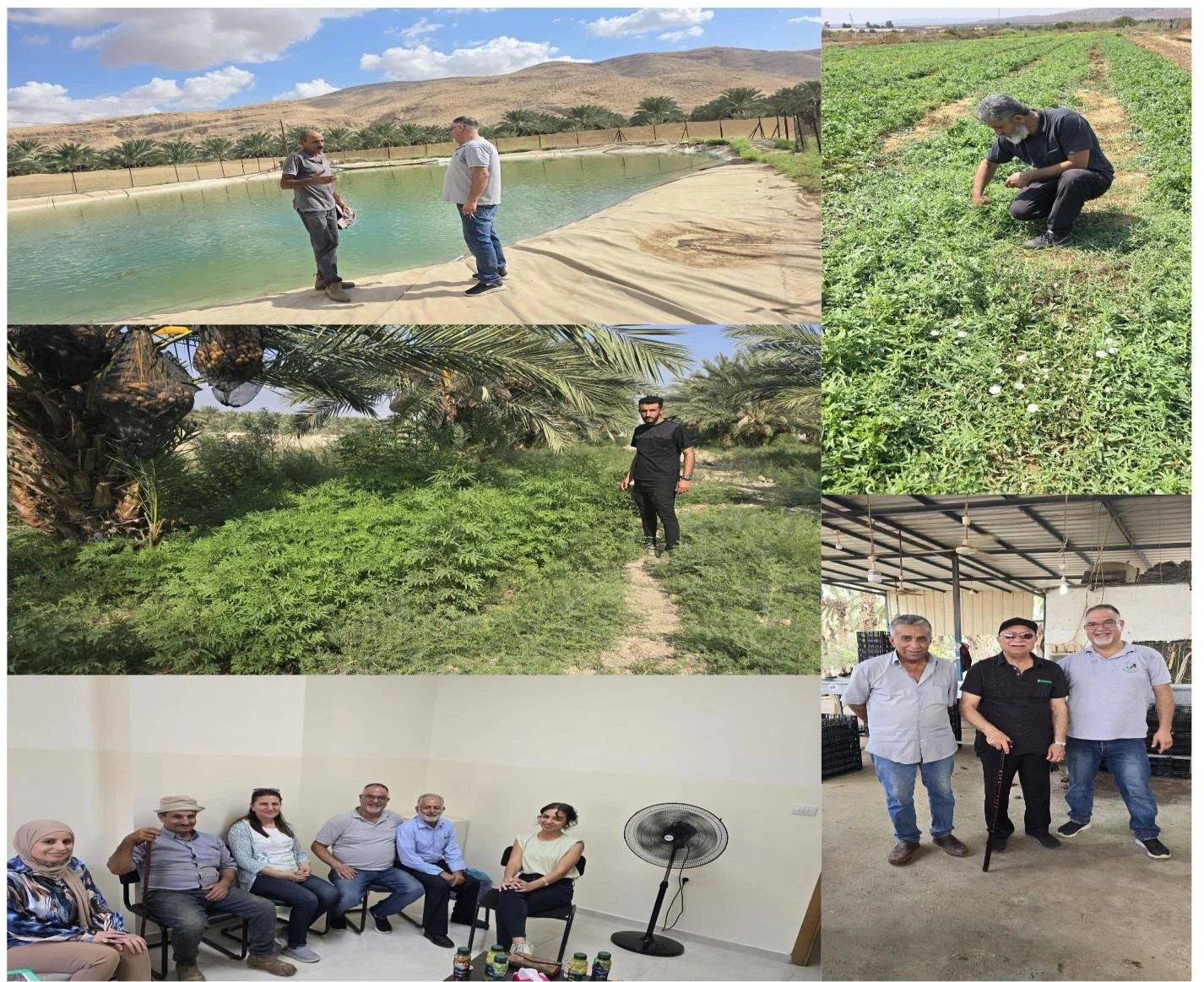 Combating Invasive Plant Species in Palestinian Agricultural Lands (CIPSPA)