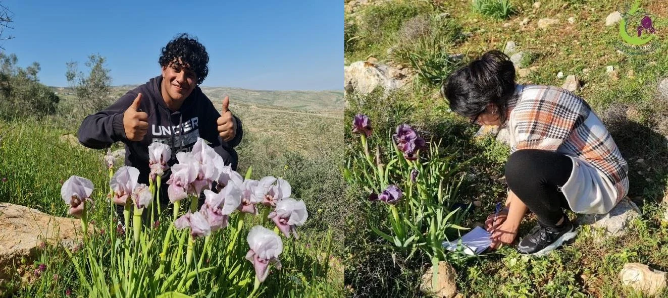 Plant Conservation in the North Eastern Slopes, Palestine