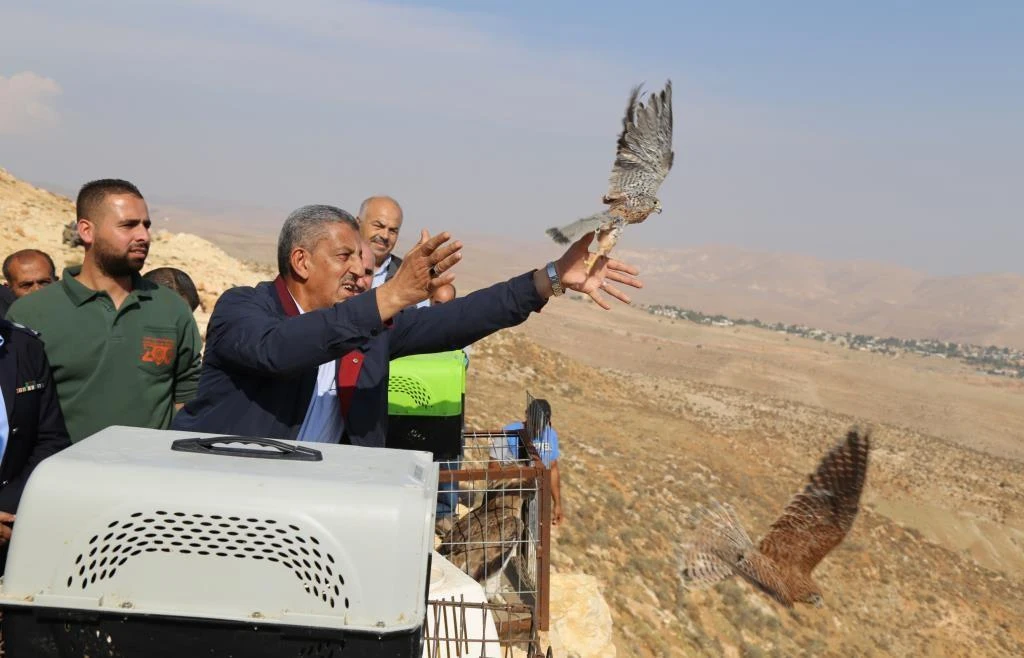 Wild Animal Rehabilitation